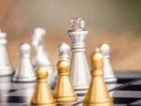 “金融副市长”再添一员！