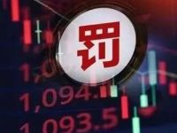 信披违规！这家公司多位高管被罚，中介机构也难辞其咎